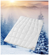 Пуховое одеяло Premium Clima Tencel silvet protection WD зимнее  QQQ