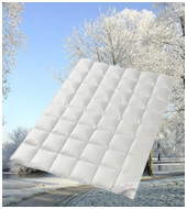 Пуховое одеяло Premium Tencel silver protection WD зимнее среднее QQQ