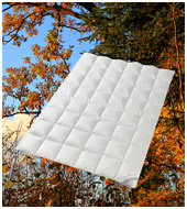 Пуховое одеяло Premium Tencel silver protection GD, стеганое среднее, всесезонное QQ