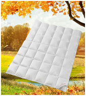 Пуховое одеяло Vario Premium Tencel silver protection GD всесезонное QQ